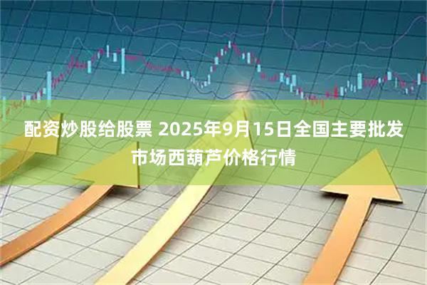 配资炒股给股票 2025年9月15日全国主要批发市场西葫芦价格行情