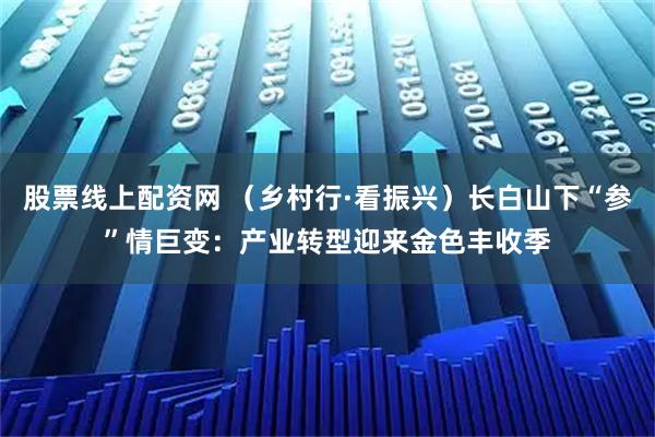 股票线上配资网 （乡村行·看振兴）长白山下“参”情巨变：产业转型迎来金色丰收季