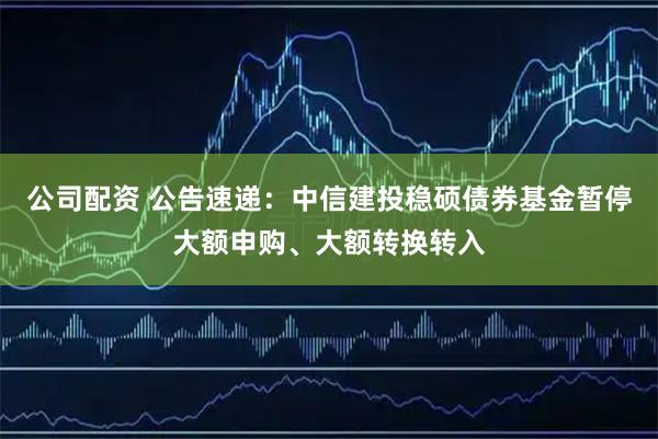 公司配资 公告速递：中信建投稳硕债券基金暂停大额申购、大额转换转入