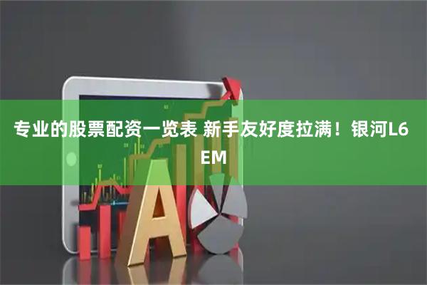 专业的股票配资一览表 新手友好度拉满！银河L6 EM