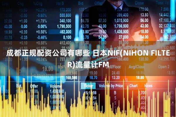 成都正规配资公司有哪些 日本NIF(NIHON FILTER)流量计FM