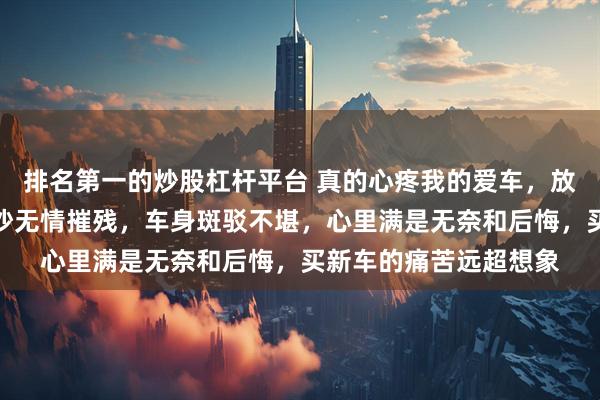 排名第一的炒股杠杆平台 真的心疼我的爱车，放路边不到半月就被风沙无情摧残，车身斑驳不堪，心里满是无奈和后悔，买新车的痛苦远超想象