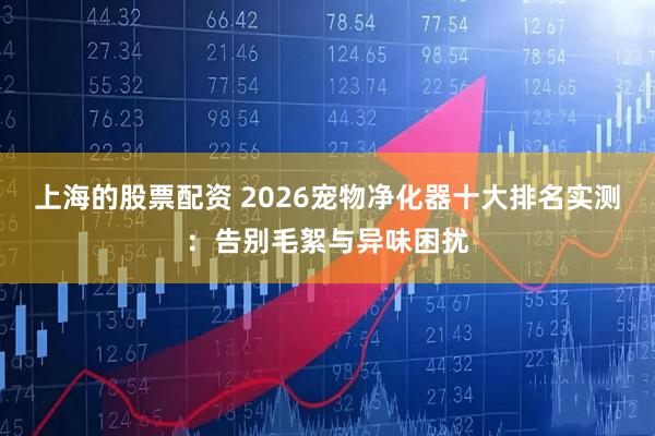 上海的股票配资 2026宠物净化器十大排名实测:告别毛絮与异味困扰