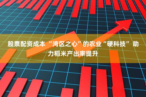 股票配资成本 “湾区之心”的农业“硬科技” 助力稻米产出率提升